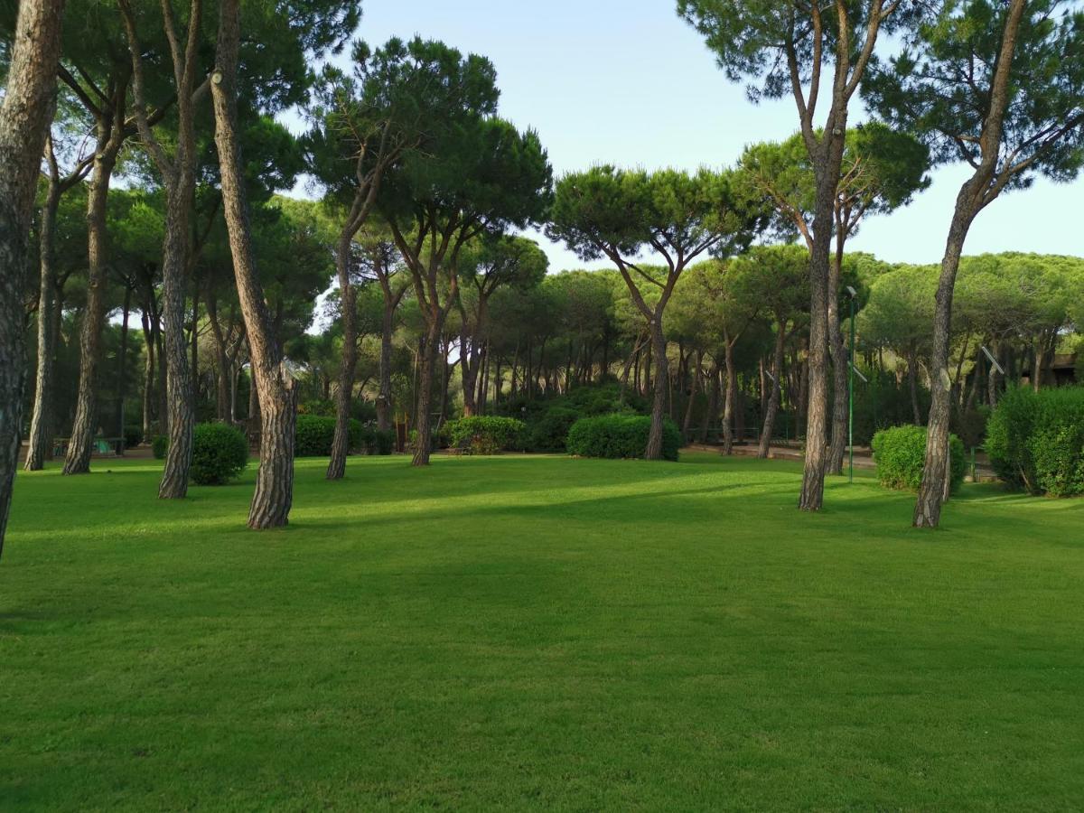 Deliziosa Villetta Sul Mare Appena Ristrutturata Pula Buitenkant foto